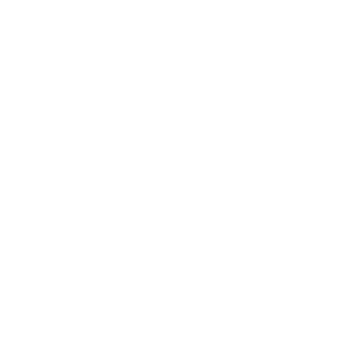 خطوط تزئینی